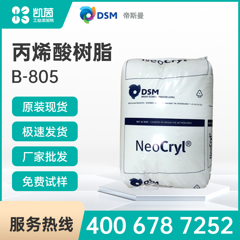 DSM帝斯曼  B-805 丙烯酸樹脂 甲基丙烯酸共聚物